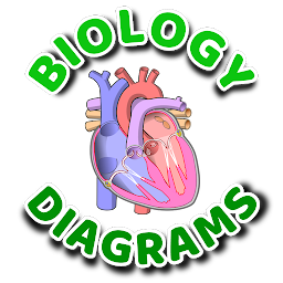 Learn Biology Diagrams
