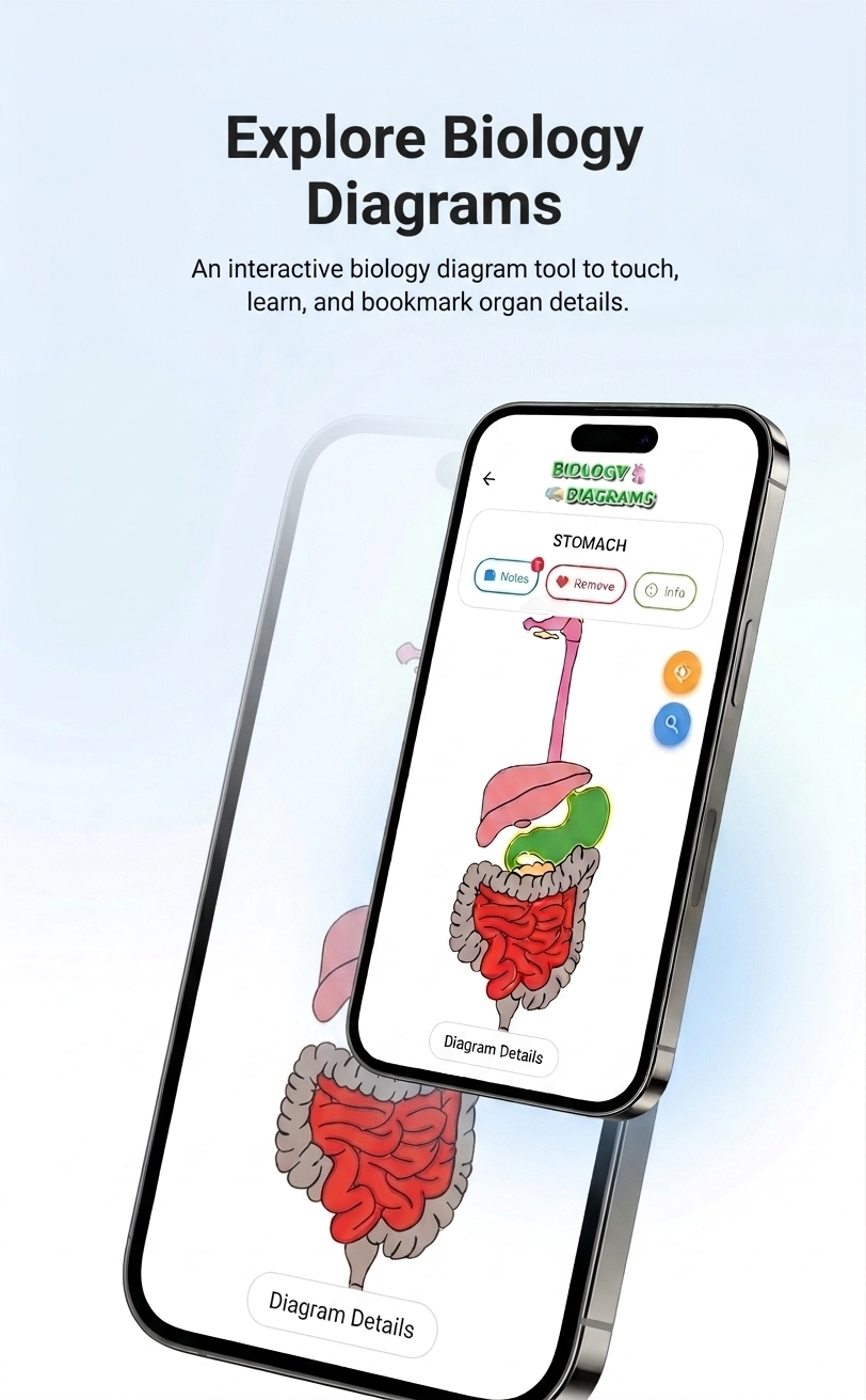 App Screenshot 5